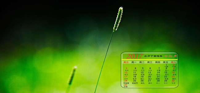 1513842113172986Iapv.png blob.png